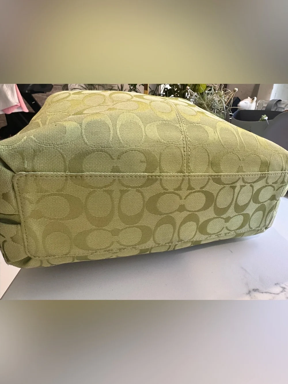Coach Signature Lime Green Penelope Hobo Jacquard Bag + Scarf & cherries 🍒